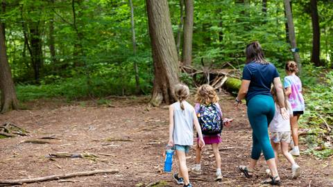 Kids and adult walking through the woods