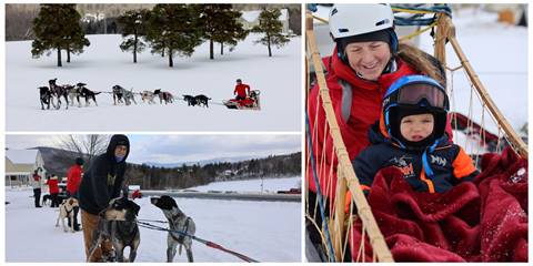 Dog Sledding 