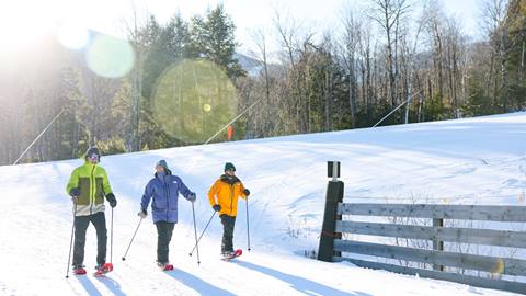 Snowshoeing