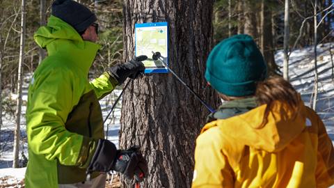 Snowshoeing