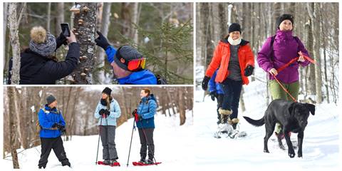 Snowshoeing