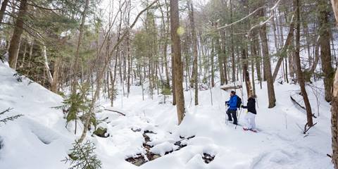 Snowshoeing