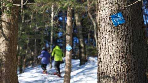 Snowshoeing