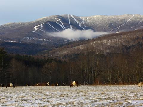 winter scenic