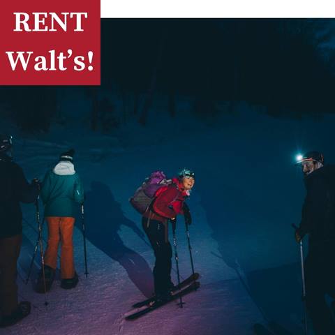 rent walts