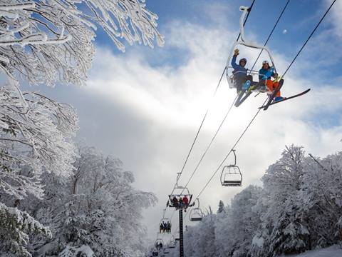 North Lynx chair