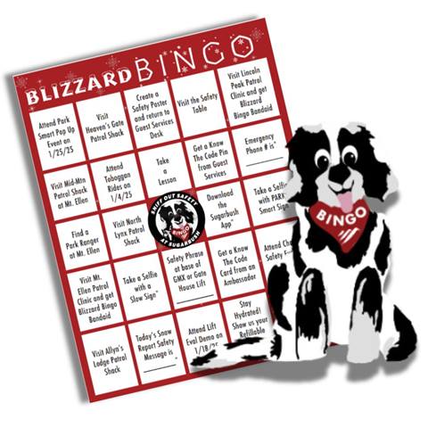 BLIZZARD BINGO