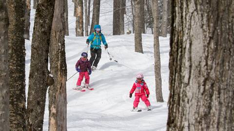 Family tree skiing 