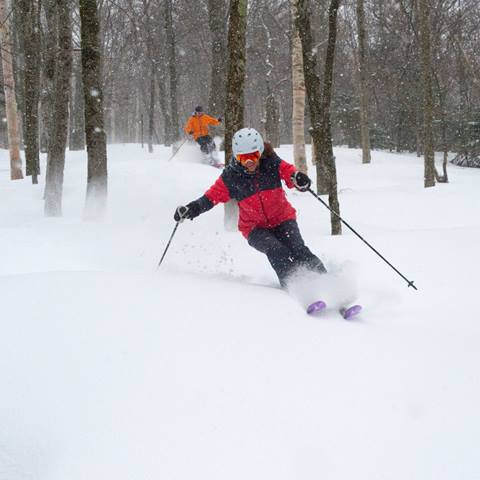 Skier skiing in trees