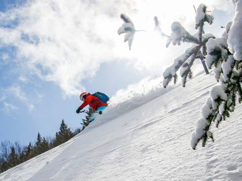 Skier Skiing