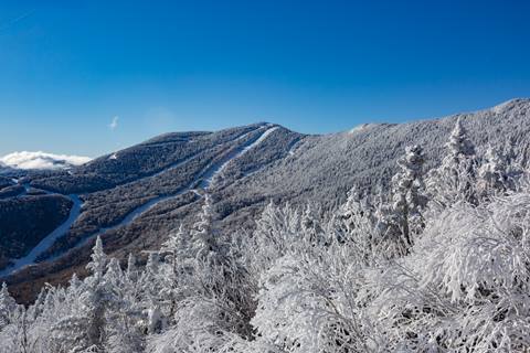 scenic view of sugarbush in winter