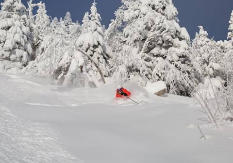 Women skiing powder in a blue jacket 