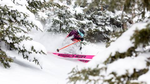 Skier in the woods