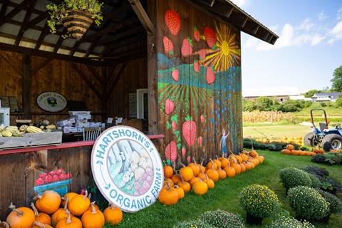 farm stand with pumpkins and mural painting on barn