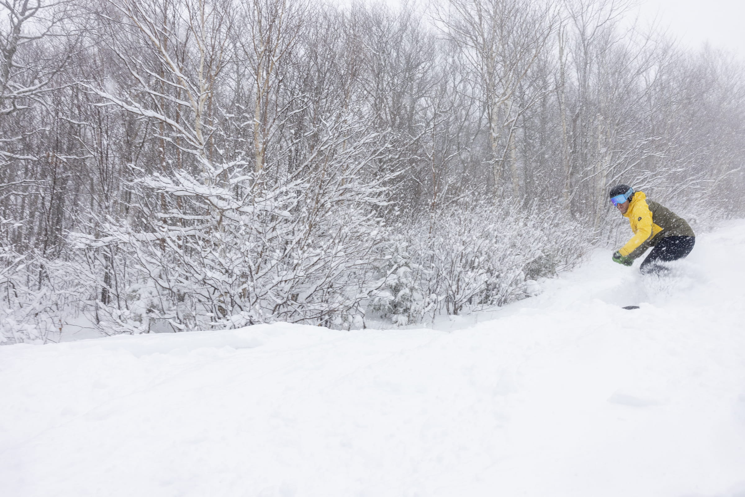 Resort Skiing - Vermont Ski Resorts | Sugarbush Resort