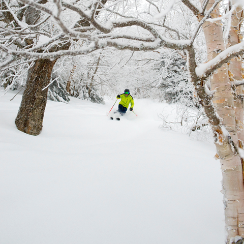 Guy Skiing