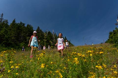 Kids hiking in flowers
