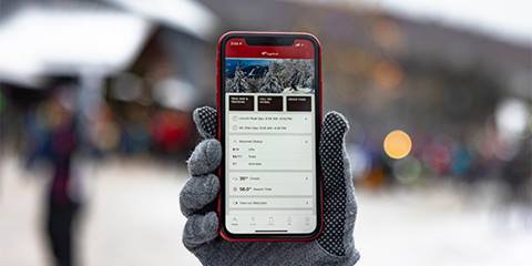 close up of a hand with a glove holding a phone with the sugarbush app open