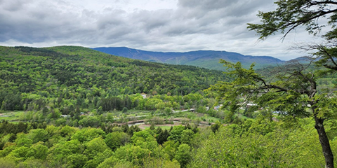 view from Wu's Ledge hike