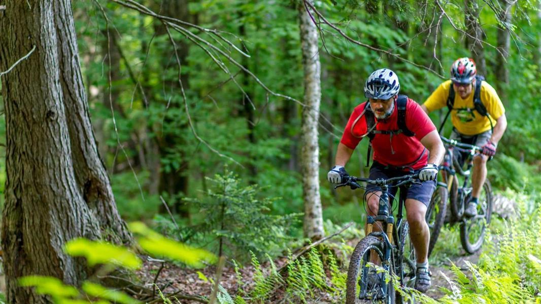 sugarbush downhill mountain biking