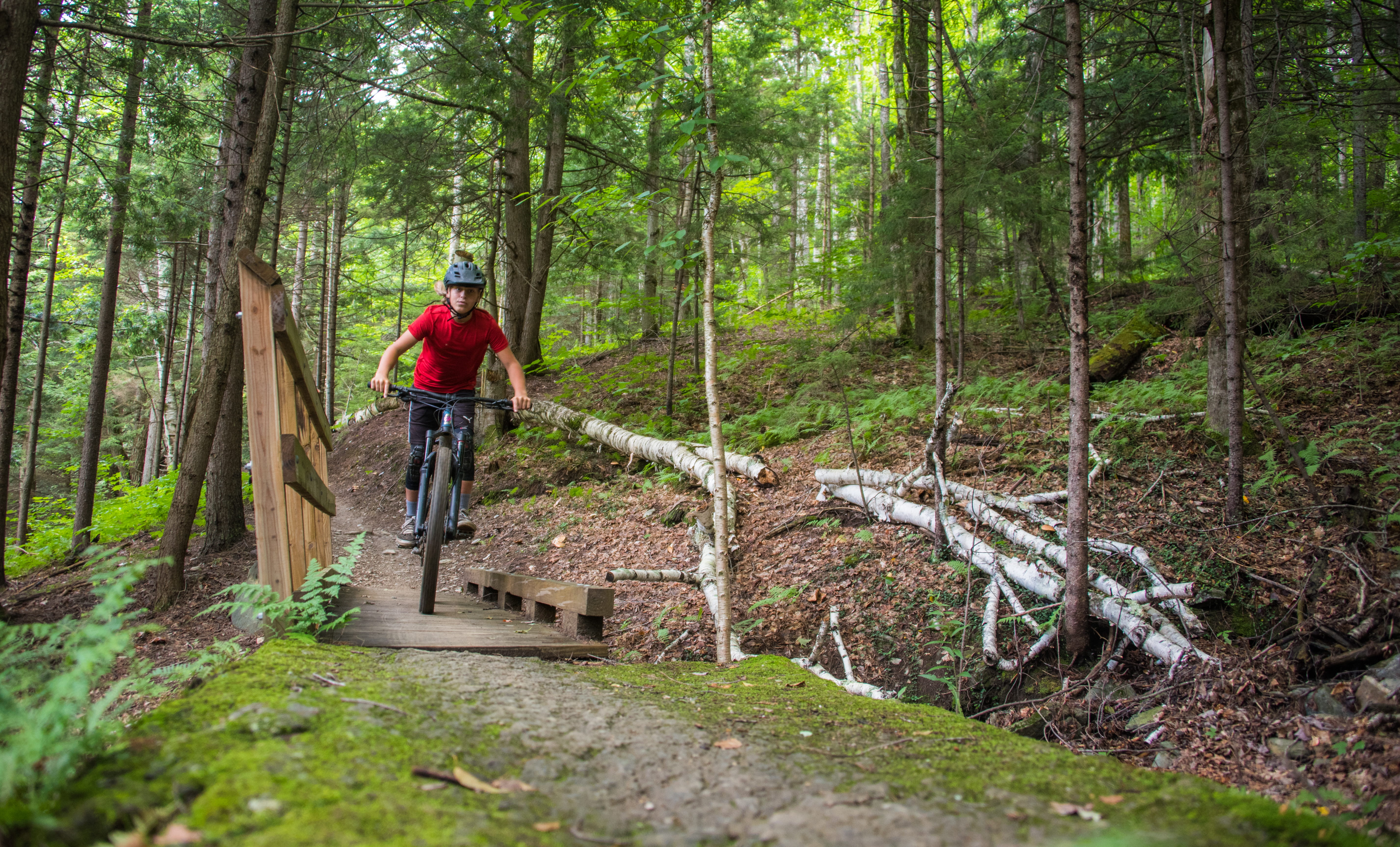 Sugarbush downhill hot sale mountain biking